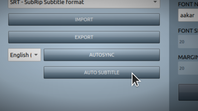 Auto subtitles