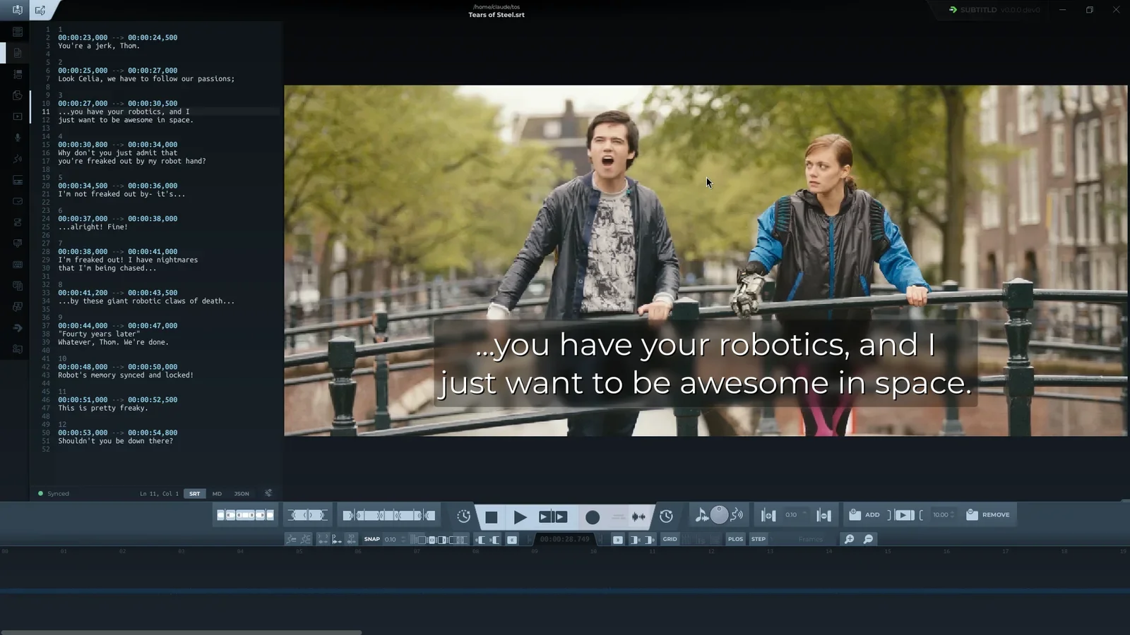 The new plain-text tab with the subtitles as SRT
